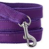 Pet Passion Recycled Ribbon Dog Leash 7 Ft. for All
