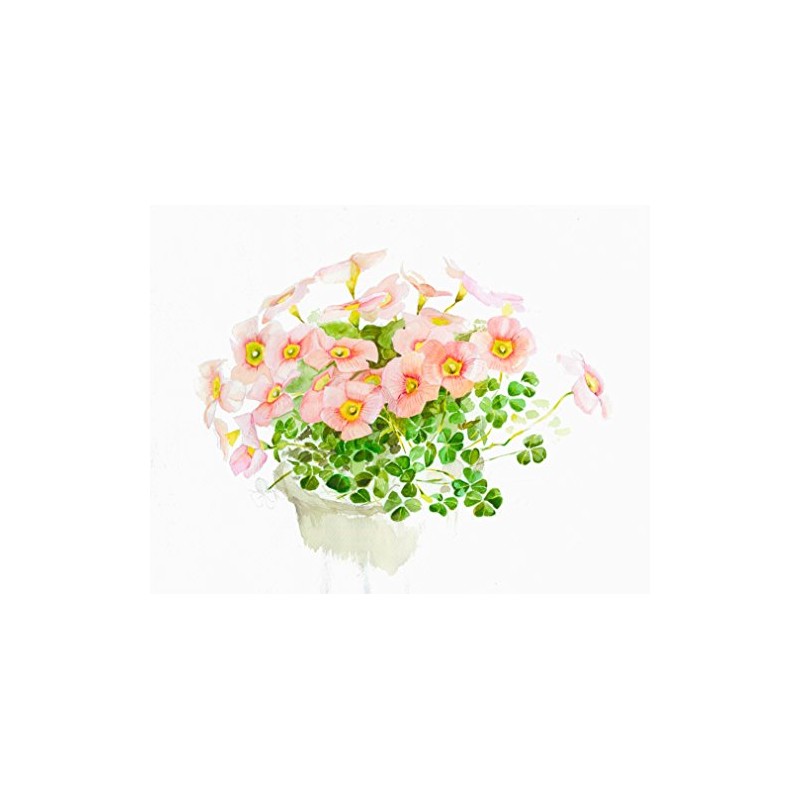 Create Muse HW-2401 Watercolor Paper White Watson Book SM 8.3