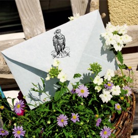 Dekolando Motif Stamp Condor Sitting on Stone – Stamp Andean Condor Wooden Stamp Scrapbooking Bird – Imprint 38 x 58 mm