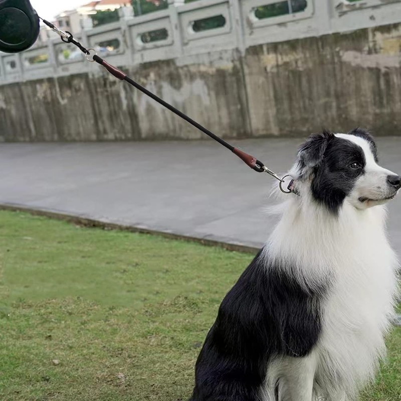 Mycicy No Handle Dog Leash 3 FT / 6 FT,