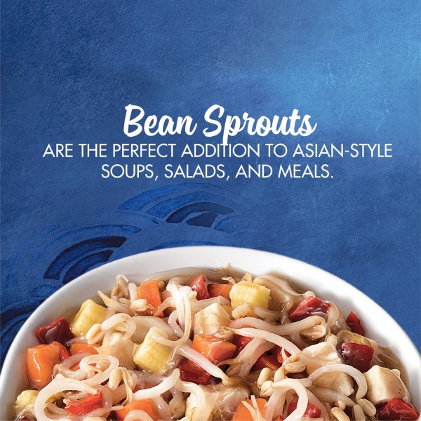 Unbranded (4 Pack)Bean Sprouts, Canned Vegetables, 14 Oz Can