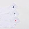 Champion CWSCB201 Women's Socks, 3-Pair Set, One Point Logo Embroidery,