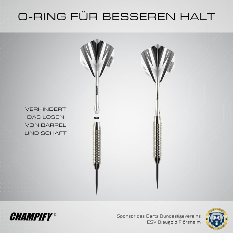 Champify Brass Darts Set "Blizzard" with 18 g Barrel and