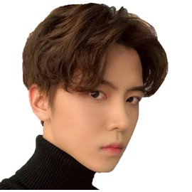 Wig, Short, Men's, Full Wig, Short Hair, Wig, Natural, Heat Resistant, Handsome, For Men, Natural, Small Face, Heat Resistant, Popular, Fashion, Aged Gentleman Wig (Brown)