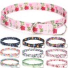 haoyueer Training Collar, No Pull Martingale Collar, Slip On Collar