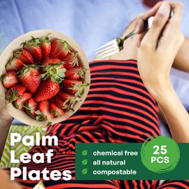 DISPOSABLE GREEN – Round Disposable Plates, Areca Leaf Serving Plates, Dinner Plates for Parties, Weddings, Catering, & More, Disposable Plates for Hot Food & Cold Food, 15 x 2cm, 25-Pcs