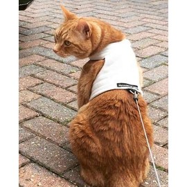 Mynwood Cat Jacket/Harness Fleece Fabrics for Kittens or Adult Cats (Cream Fleece, Kitten)