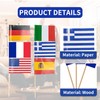 Pack of 100 Germany Flag Small, Germany Flag Toothpick with