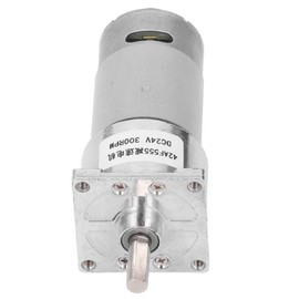DC24V Gear Motor Self Locking Worm Speed Reduction Motor with Central Shaft CW CCW 42F555 300RPM