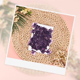 M METERXITY 60-Pack Dried Pressed Flowers for Resin, Real Natural Bulk Dry Floral for Crafts/DIY Jewelry/Soap Making/Scrapbooking/Candle/Epoxy Resin Supplies [Dark Purple]