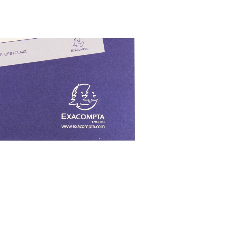 Exacompta - Ref GESTDLA4Z - Guildhall - Essentials To Do
