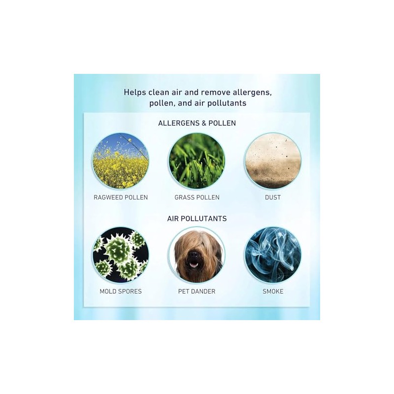 Bionaire - Aer1 Air Filter, Allergen Remover True HEPA Replacement