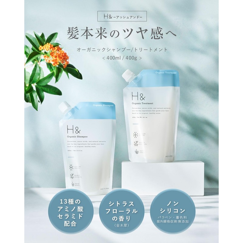 H & Ash and Shampoo Treatment, Beauty Salon Exclusive Amino