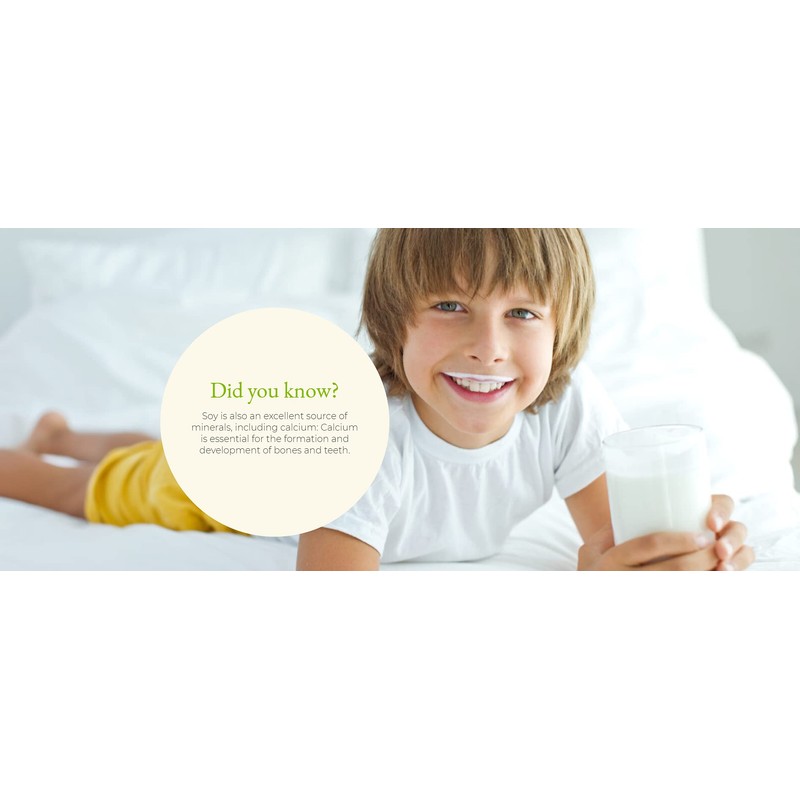 Natur-a Natura Foods Mini Organic Strawberry Soy Beverage 3x200ml