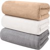 AYO Bath Towels, Fluffy, Hotel Specifications, Large, Instant Absorption, 23.6