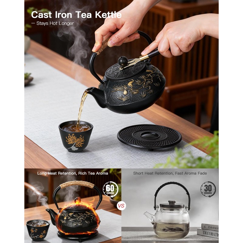 28oz Cast Iron Teapot with 4 Cups, Tea Kettle for