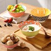Metahom Ceramic Cereal Bowls, 23 Oz Colorful Soup Bowls, Deep