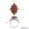 Shop LC Red Garnet Platinum 18K Yellow Gold Plated Cluster
