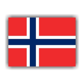 Womaha 30 Sheets Norway Flag Temporary Tattoos World Cup European Cup Asian Cup African Cup Football Face Fattoo for Adults and Kids…