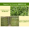 Iron Guanyin Oolong Cha, Chinese Anxi Iron Guanyin Tea, Thick