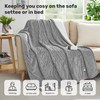 Heated Electric Blanket with 10 Heat Levels, Machine Washable Heated