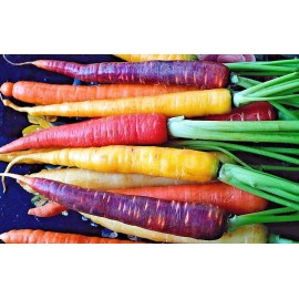 Southeast Seeds Rainbow Carrot Blend Mix, Seeds, Colorful, NON-GMO, Beta Carotene, Vitamin A - 1250 Seeds