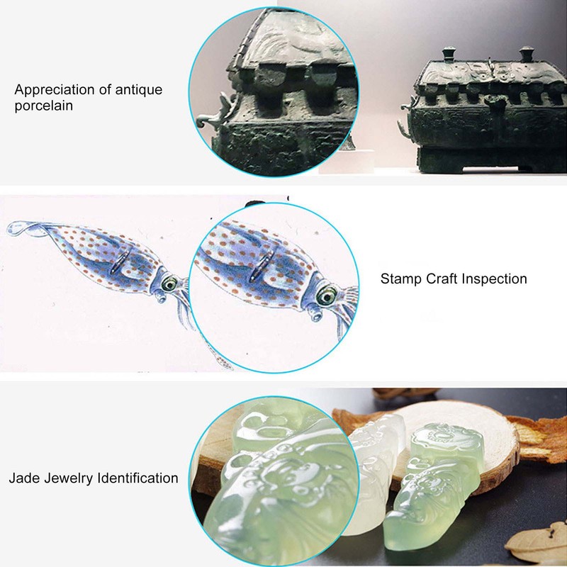 Handheld Magnification Endoscope 3 in 1 Interface USB HD Digital