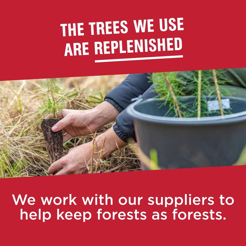 Vanity Fair Everyday Paper Napkins, 100 Count, Disposable Napkins Made