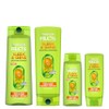 Garnier Fructis Sleek & Shine 12.5 fl. oz. + 3