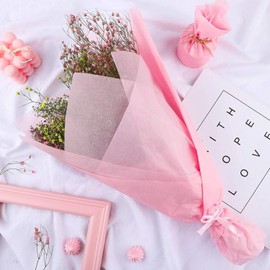 5 Sheets of Pastel Pink Tissue Paper-20"x30"(50cmx75cm)-Gift Wrapping Paper- Acid Free-Kids Art and Craft Wrapping Paper Sheets. Pastel Pink. SALPACK