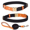 Haoyueer Nylon Dog Collar with Metal Safety Buckle, Adjustable Leather
