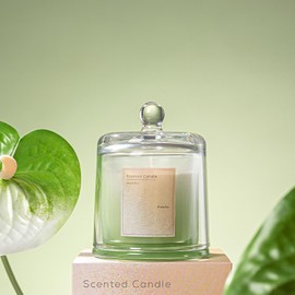 Funday Scented Soy Candle, 5.64 oz, Glass Dome Jar with Lid, Home Decor Gift (Blue Wind Chime)