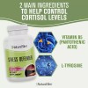NaturalSlim Stress Defender Stress Relief Supplement Anti-Stress Capsules