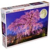 1000 Piece Jigsaw Puzzle at Night Cherry at Maruyama Park
