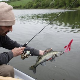 Shrimp Lures Fishing Saltwater | Soft Lure Realistic Bass Bait, Fishing Baits, for Freshwater & Saltwater, Trout Lures Fishing Gear, Fish Lures Swimbaits