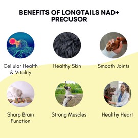 LongTails NAD+ Precusor Collagen Dog Supplement, Bone Broth and Liver for Senior Dogs, NR Cognitive Cellular Heart Joint Support, Dog Muscle Builder, Daily Powder, 4.48 oz