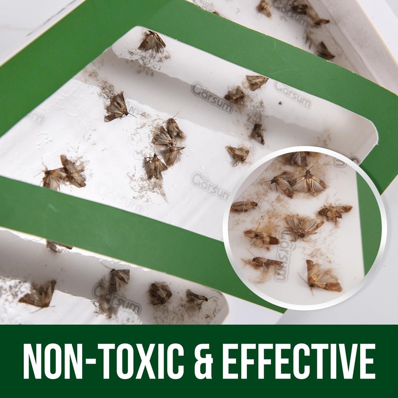 Garsum Clothes Moth Trap,Moth Traps for Clothes, Refillable 6 Packs