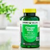 Unbranded Spring Valley Ginger Root Dietary Supplement Capsules for Digestive