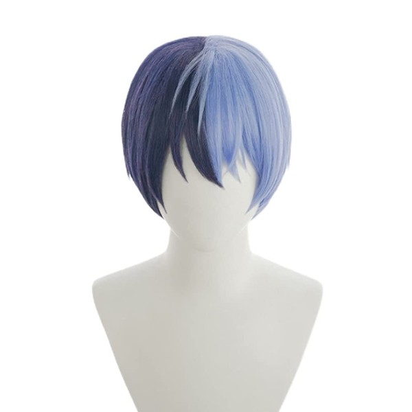 Aoyagi Fuyuya Aoyagi Cosplay Wig with Net Navy Blue Heat