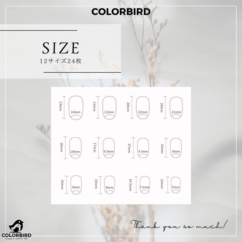 COLORBIRD Z564 Nail Tips, Short, 24 Pieces, Pink, Nail Tip,