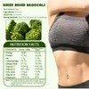 Freeze-Dried Broccoli Crunch - 100% Natural, No Additives | 1.76oz