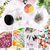 BELICOO 24 Pieces 20 ml Empty Cream Containers Jars, Cream