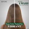 Herbatint Color Safe Shampoo for Color-Treated, Normal Hair - Aloe
