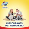 Resolve Carpet Concentrate for Steam Urine Destroyer, Carpet Cleaner Solution,