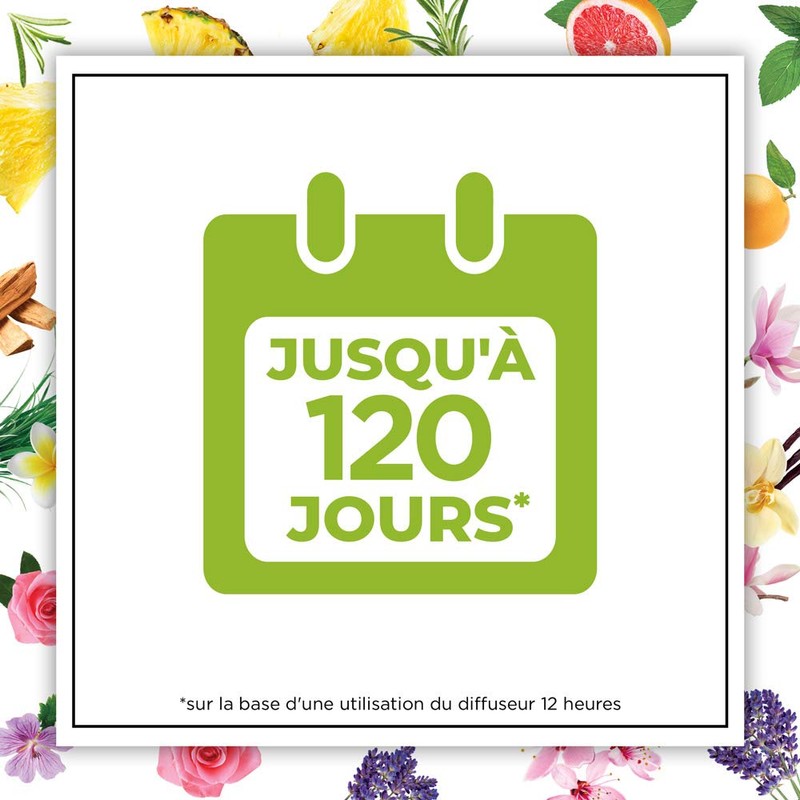 Air Wick Botanica Lufterfrischer für Zuhause