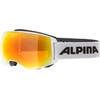 ALPINA Sports Naator HM A7269 8 11 Ski Goggles Plastic/Polycarbonate