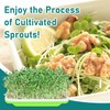 Legigo 5 Pack Seed Sprouter Trays- Soil-Free Cultivation Germination Tray,