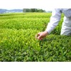 Ocha-no-Maruko Roasted Tea Produced in Shizuoka Prefecture, Farmers Direct from