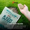 A-List Low Input Mixture Lawn Seed - Premium Grass Seeds
