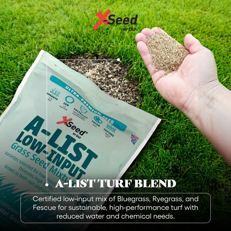 A-List Low Input Mixture Lawn Seed - Premium Grass Seeds